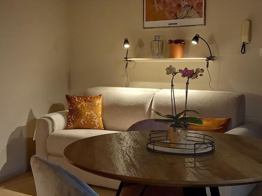 S'Gleina Gleck, In The Heart Of A Wine City, Charmant Studio 1 Piece Et 1 Salle De Bain Kaysersberg-Vignoble Ngoại thất bức ảnh