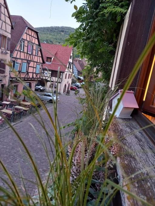 S'Gleina Gleck, In The Heart Of A Wine City, Charmant Studio 1 Piece Et 1 Salle De Bain Kaysersberg-Vignoble Ngoại thất bức ảnh